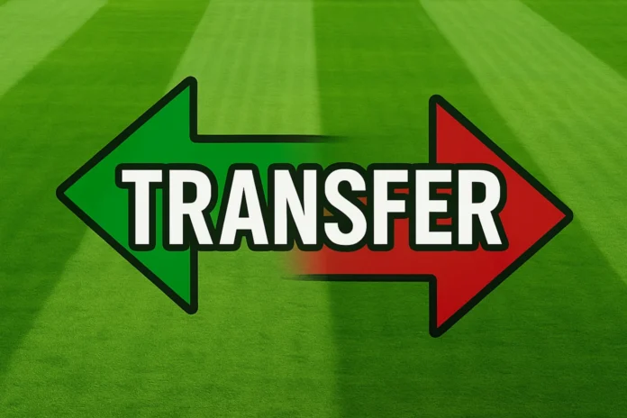 Transfery ogólny obrazek 8